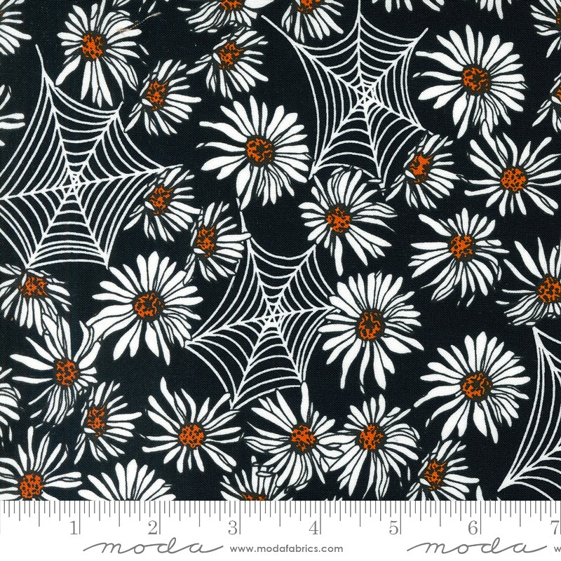 Noir 11541-13 Pumpkin