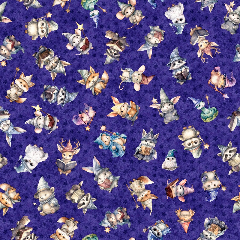 Lil' Wizards 30551-V Purple Wizard Toss