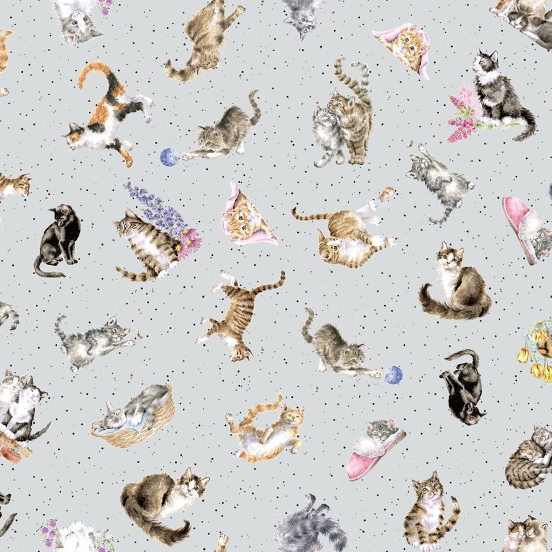 Whiskers & Paws MAS10416-K Tossed Cats Grey